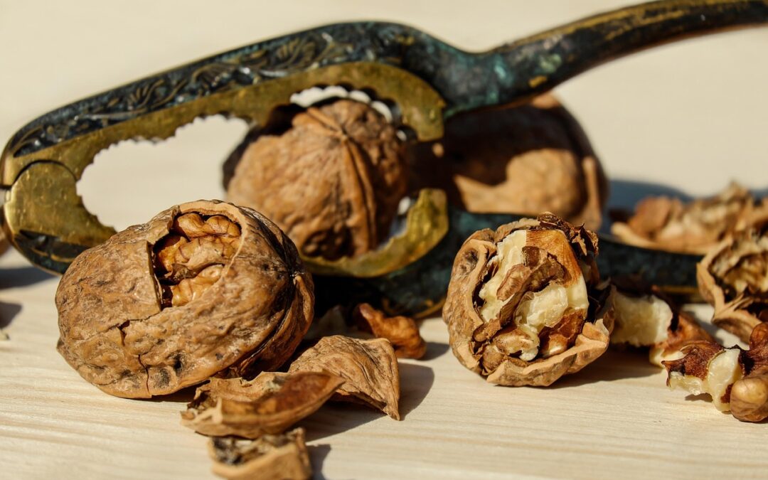 Best Chocolate Walnut Fudge – Craving Fudge? Wasatch Fudge Is…