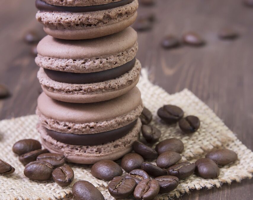 Chocolate Peanut Butter Fudge Treat / Fudge Fantasies: Your Ultimate…
