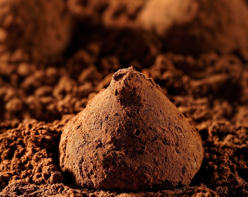 Chocolate Walnut Fudge For Chocolate Indulgence – Chocolate Dreams Come…