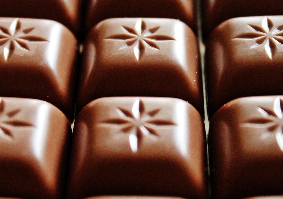 Chocolate Walnut Fudge For Chocolate Lovers / Craving Chocolate? Wasatch…