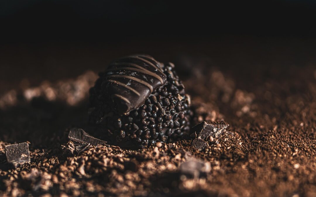 Chocolate Walnut Fudge For Chocolate Lovers – Craving Fudge? Wasatch…