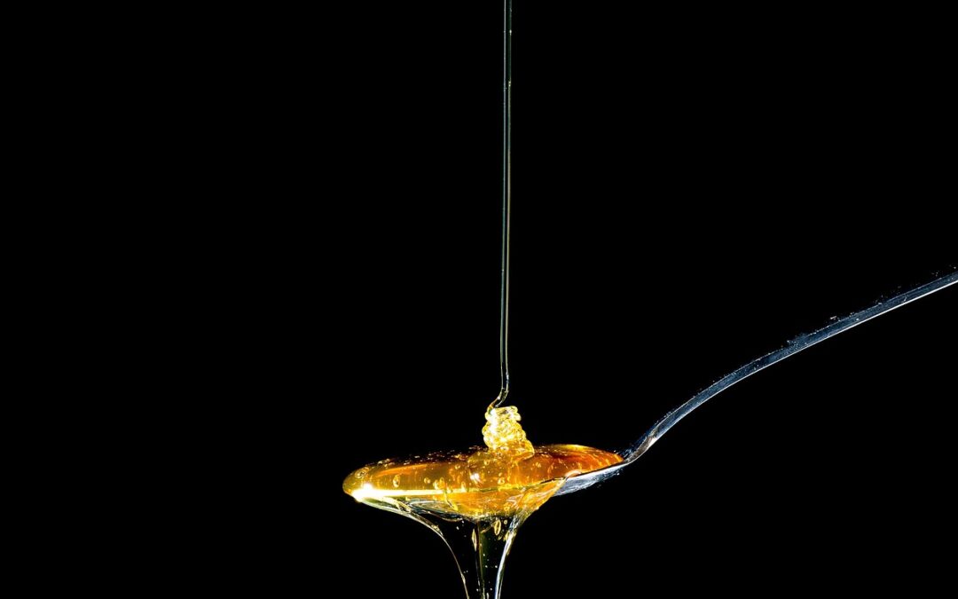 Gourmet Fudge Stores Online: Craving Fudge? Wasatch Fudge Is The…