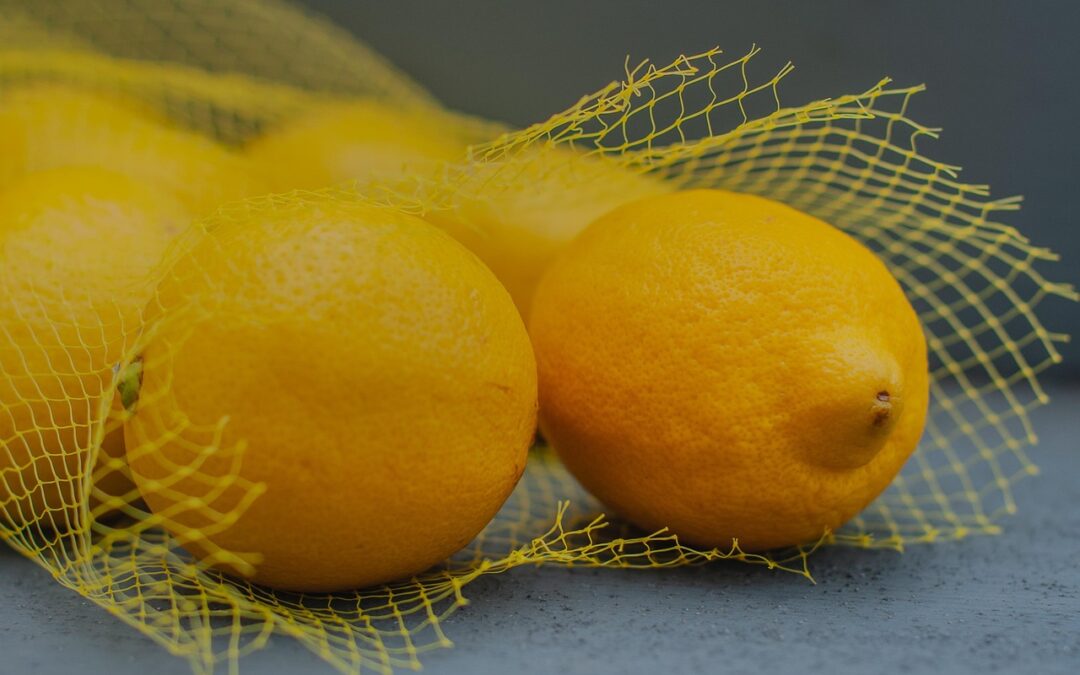 Lemon Fudge Bites | Dive Into Deliciousness: Wasatch Fudge’s Sweet…