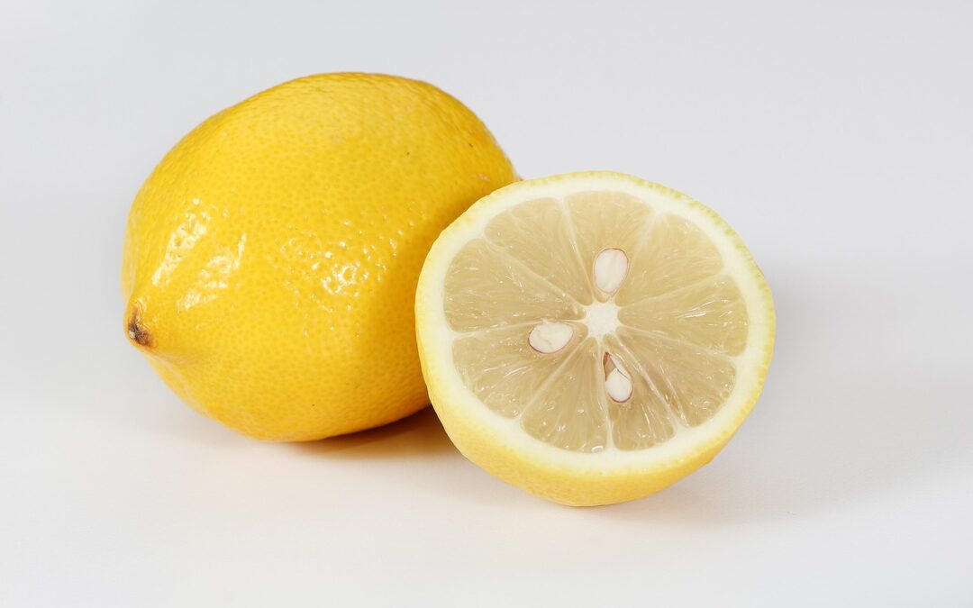Lemon Fudge Near Me – Craving Fudge? Wasatch Fudge Is…