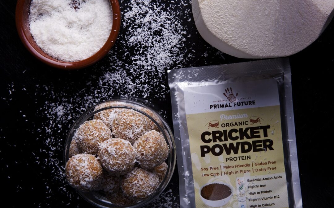 Premium Fudge / Dive Into Deliciousness: Discover The Ultimate Fudge…