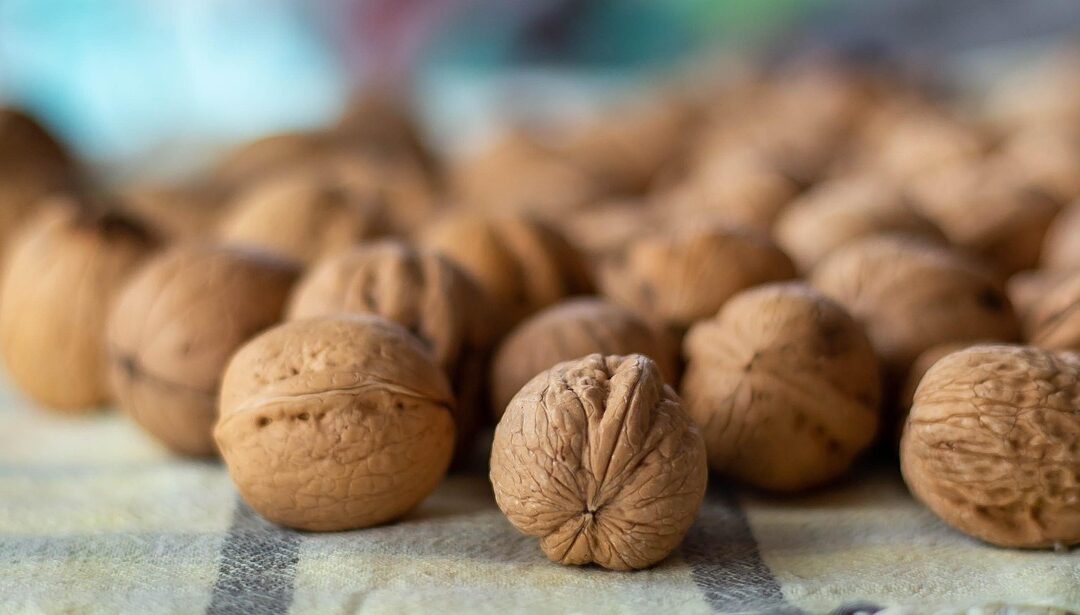 Best Chocolate Walnut Fudge ~ Craving Fudge? Wasatch Fudge Has…