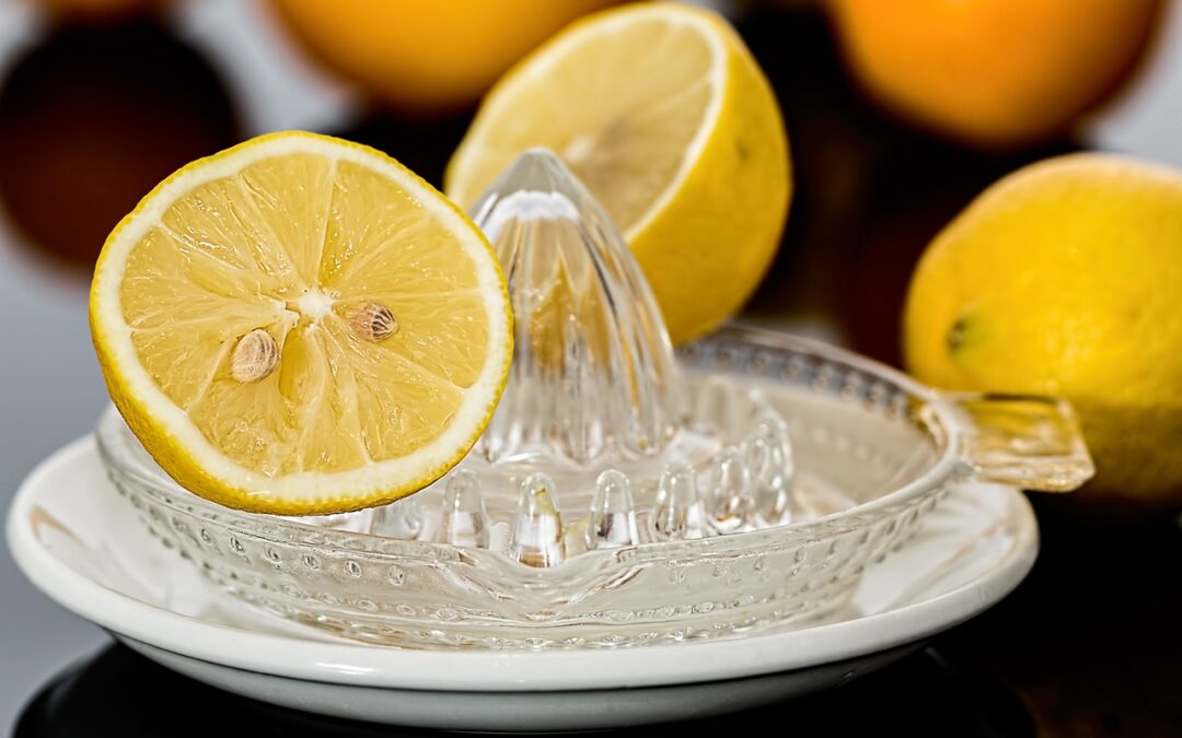 Best Lemon Fudge – Craving Fudge? Wasatch Fudge Has You…