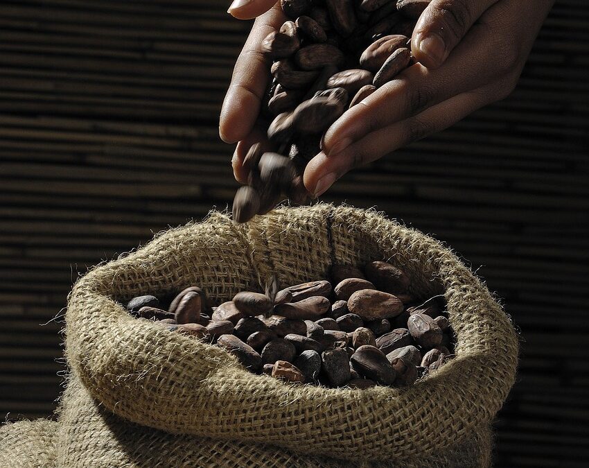 Chocolate Fudge Lovers » The Ultimate Fudge Adventure: Why Wasatch…