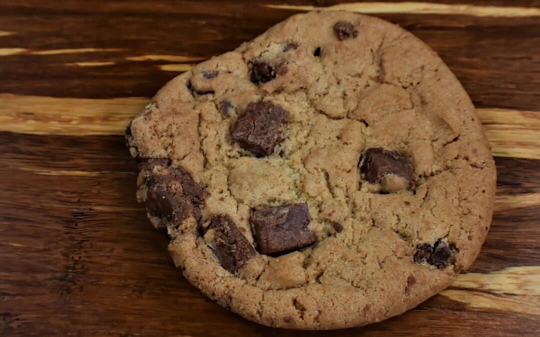 Homemade Chocolate Walnut Fudge | Craving Fudge? Wasatch Fudge Has…