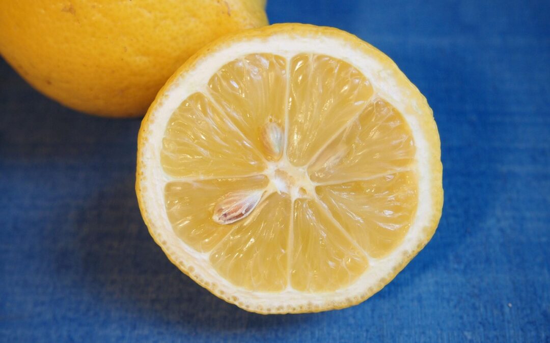 Lemon Fudge Recipe / Sweet Tooth Satisfied: Discover The Best…