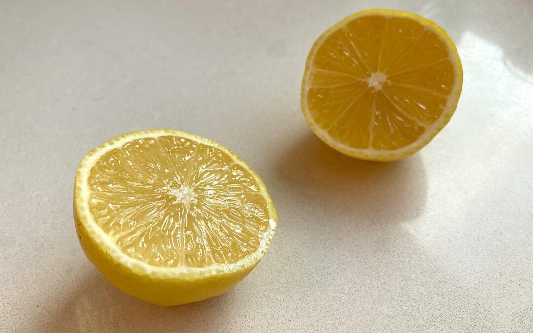 Lemon Fudge Subscription ~ Forget Everything You Know About Fudge:…