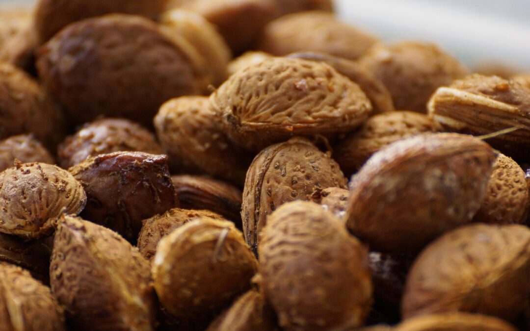Nutty Fudge With Almonds / Sweeten Your Holidays: The Best…