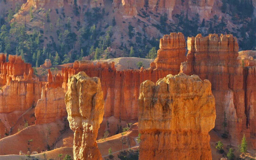 Best Fudge From Utah » Sweeten Your Day: Discover The…