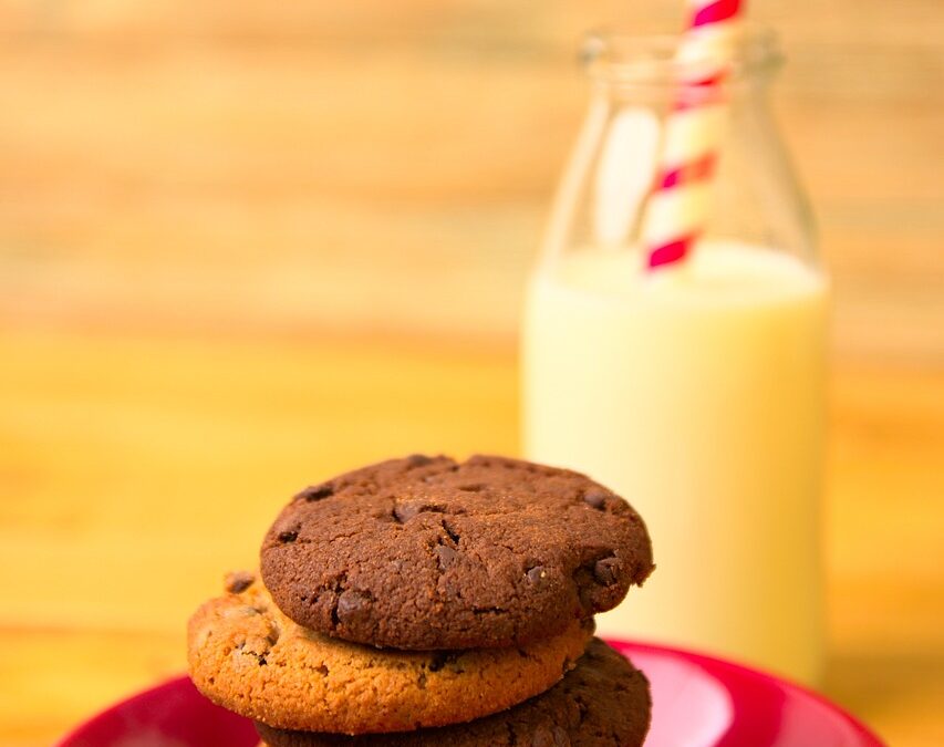 Buy Homemade Fudge With Chocolate ~ Sweeten Your Holidays: The…