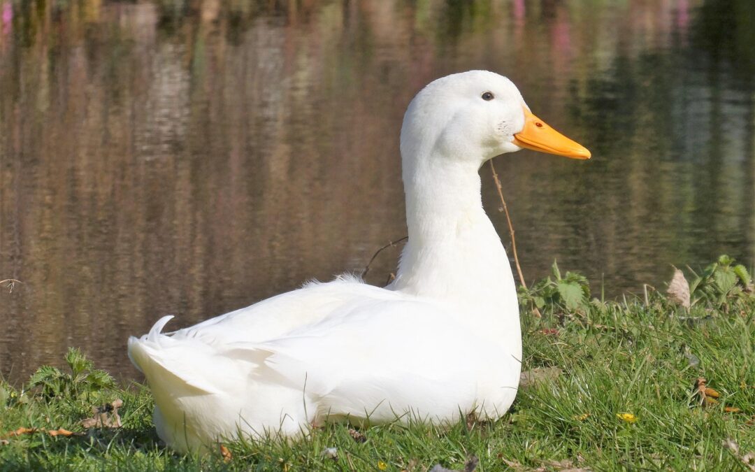 20. Are There Any Plans For Expanding Your Fudge Shop…