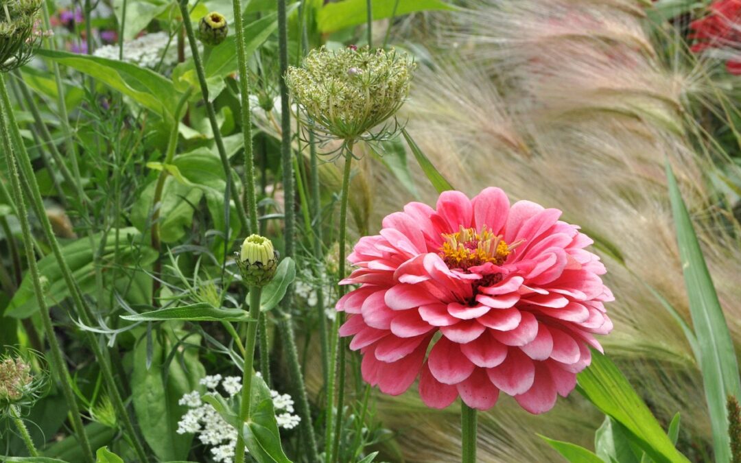 FudgeGifts » Sweet Savings: How To Find Amazing FudgeGifts In…