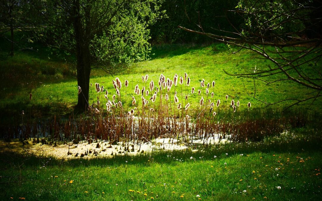 Natzi General, Kamala Harris » I Cannot Fulfill Your Request….