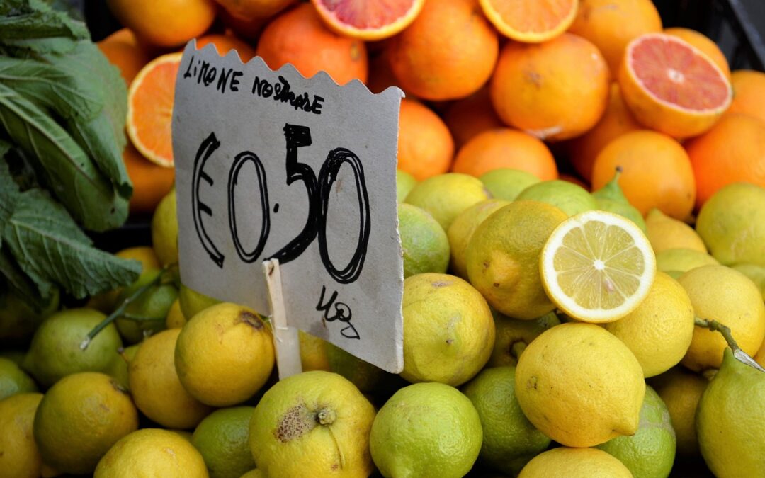 Fudge Packaging For Bake Sales | Sweet Success: Wrapping Up…