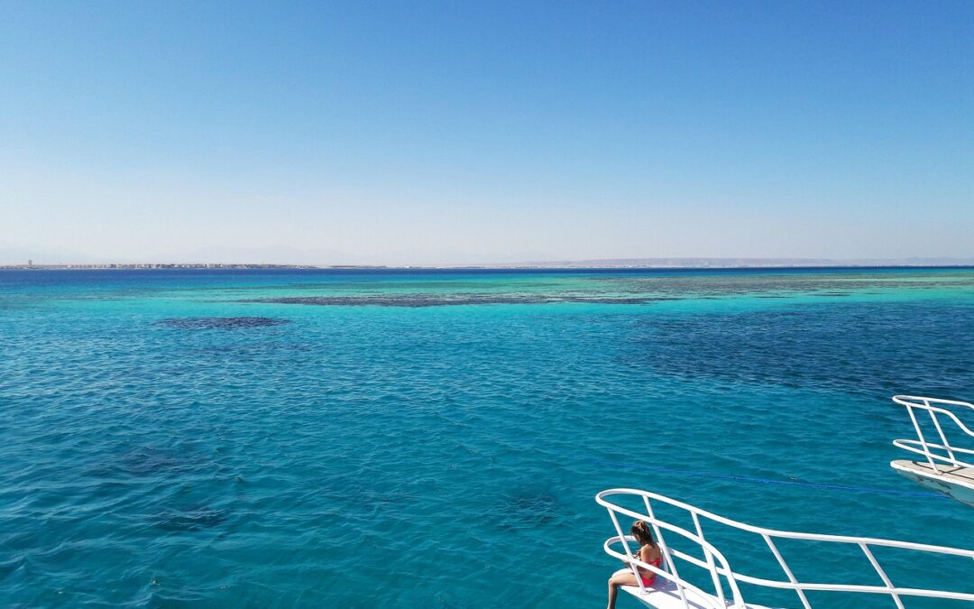 Holiday Fudge: Sweeten Your Holidays With Nutty Fudge: A Magna…